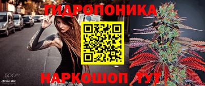 марки lsd Гай