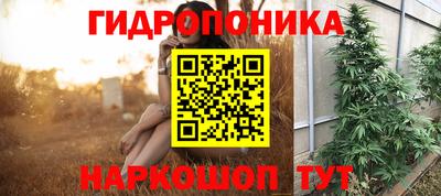 твердый Гатчина